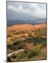 Storm at Coral Pink Sand Dunes State Park, Utah, USA-Diane Johnson-Mounted Photographic Print