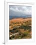 Storm at Coral Pink Sand Dunes State Park, Utah, USA-Diane Johnson-Framed Photographic Print