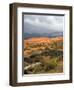 Storm at Coral Pink Sand Dunes State Park, Utah, USA-Diane Johnson-Framed Photographic Print