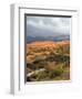 Storm at Coral Pink Sand Dunes State Park, Utah, USA-Diane Johnson-Framed Photographic Print