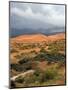 Storm at Coral Pink Sand Dunes State Park, Utah, USA-Diane Johnson-Mounted Photographic Print