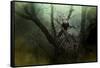 Storm at the Old Nest-Jai Johnson-Framed Stretched Canvas