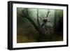 Storm at the Old Nest-Jai Johnson-Framed Giclee Print