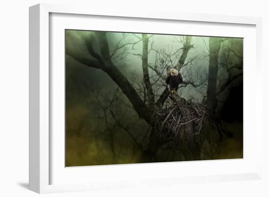 Storm at the Old Nest-Jai Johnson-Framed Giclee Print