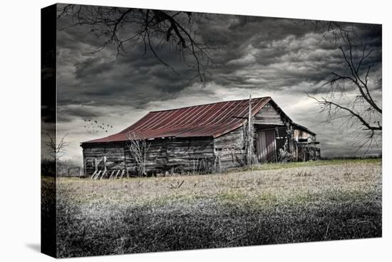 Storm Barn-Barbara Simmons-Stretched Canvas