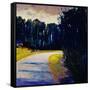 Storm Break-Lou Wall-Framed Stretched Canvas