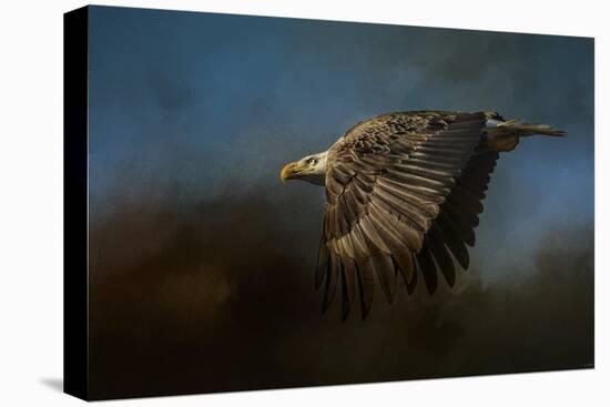 Storm Chaser Bald Eagle-Jai Johnson-Stretched Canvas