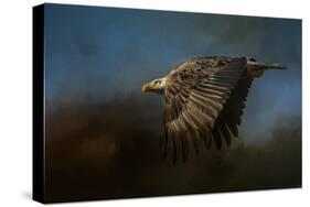 Storm Chaser Bald Eagle-Jai Johnson-Stretched Canvas