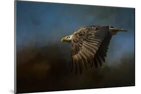 Storm Chaser Bald Eagle-Jai Johnson-Mounted Giclee Print