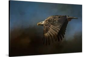Storm Chaser Bald Eagle-Jai Johnson-Stretched Canvas