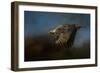 Storm Chaser Bald Eagle-Jai Johnson-Framed Premium Giclee Print