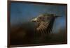 Storm Chaser Bald Eagle-Jai Johnson-Framed Giclee Print