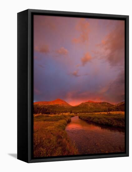 Storm Clouds Cast Unusual Colors over the Tuolomne Creek and Surrounding Mountains in Yosemite-Ian Shive-Framed Stretched Canvas