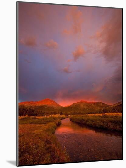 Storm Clouds Cast Unusual Colors over the Tuolomne Creek and Surrounding Mountains in Yosemite-Ian Shive-Mounted Photographic Print