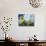 Storm Clouds Form the Background for a Field of Colorful Sunflowers-null-Photographic Print displayed on a wall