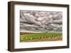 Storm Clouds Gather over Southwind, Walla Walla, Washington, USA-Richard Duval-Framed Photographic Print