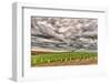 Storm Clouds Gather over Southwind, Walla Walla, Washington, USA-Richard Duval-Framed Photographic Print