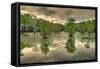Storm Clouds over Cypress Swamp-WarrenPrice-Framed Stretched Canvas
