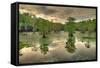 Storm Clouds over Cypress Swamp-WarrenPrice-Framed Stretched Canvas