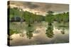 Storm Clouds over Cypress Swamp-WarrenPrice-Stretched Canvas