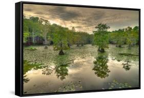 Storm Clouds over Cypress Swamp-WarrenPrice-Framed Stretched Canvas