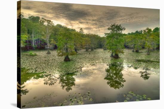 Storm Clouds over Cypress Swamp-WarrenPrice-Stretched Canvas