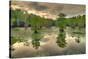 Storm Clouds over Cypress Swamp-WarrenPrice-Stretched Canvas