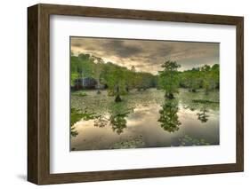 Storm Clouds over Cypress Swamp-WarrenPrice-Framed Photographic Print