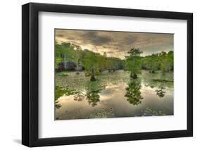 Storm Clouds over Cypress Swamp-WarrenPrice-Framed Photographic Print