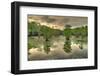 Storm Clouds over Cypress Swamp-WarrenPrice-Framed Photographic Print