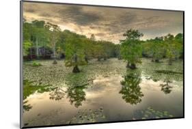 Storm Clouds over Cypress Swamp-WarrenPrice-Mounted Photographic Print