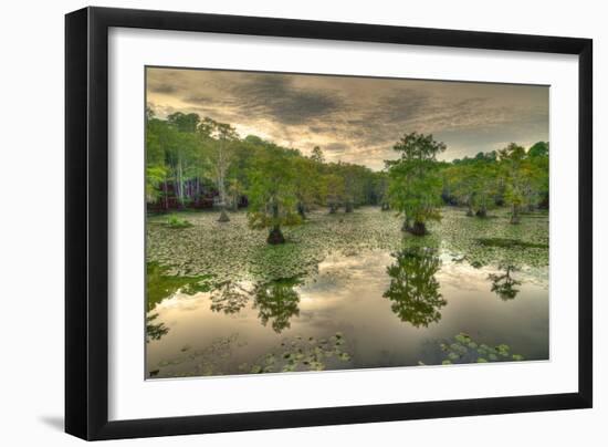 Storm Clouds over Cypress Swamp-WarrenPrice-Framed Photographic Print