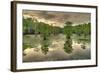 Storm Clouds over Cypress Swamp-WarrenPrice-Framed Photographic Print