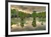 Storm Clouds over Cypress Swamp-WarrenPrice-Framed Photographic Print