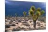 Storm Clouds over Joshua Trees-Paul Souders-Mounted Photographic Print