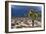 Storm Clouds over Joshua Trees-Paul Souders-Framed Photographic Print