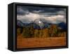 Storm Clouds Over Mountains and Trees, Grand Teton National Park, USA-Carol Polich-Framed Stretched Canvas