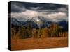 Storm Clouds Over Mountains and Trees, Grand Teton National Park, USA-Carol Polich-Stretched Canvas