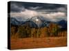 Storm Clouds Over Mountains and Trees, Grand Teton National Park, USA-Carol Polich-Stretched Canvas