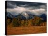 Storm Clouds Over Mountains and Trees, Grand Teton National Park, USA-Carol Polich-Stretched Canvas