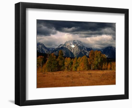 Storm Clouds Over Mountains and Trees, Grand Teton National Park, USA-Carol Polich-Framed Photographic Print