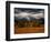 Storm Clouds Over Mountains and Trees, Grand Teton National Park, USA-Carol Polich-Framed Photographic Print