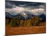 Storm Clouds Over Mountains and Trees, Grand Teton National Park, USA-Carol Polich-Mounted Photographic Print