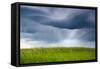 Storm Clouds, Saskatchewan, Canada-null-Framed Stretched Canvas