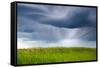 Storm Clouds, Saskatchewan, Canada-null-Framed Stretched Canvas