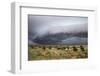 Storm Clouds Threaten the Kalahari, Kgalagadi Transfrontier Park in Summer, Northern Cape-Ann and Steve Toon-Framed Photographic Print