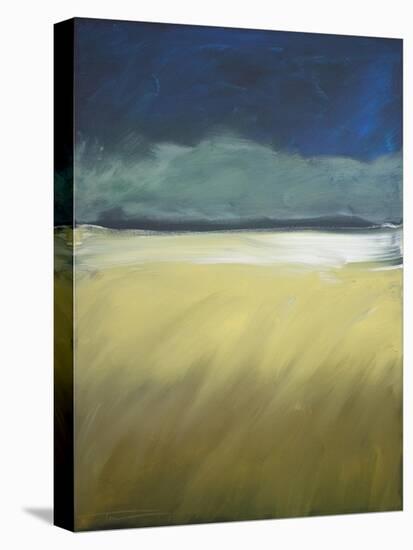 Storm Comin In-Tim Nyberg-Stretched Canvas