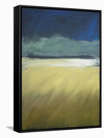 Storm Comin In-Tim Nyberg-Framed Stretched Canvas