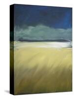 Storm Comin In-Tim Nyberg-Stretched Canvas