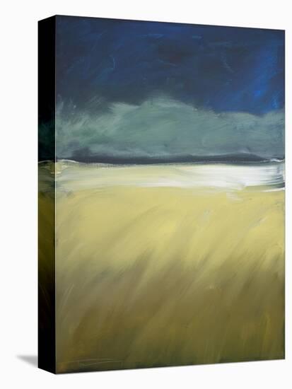 Storm Comin In-Tim Nyberg-Stretched Canvas